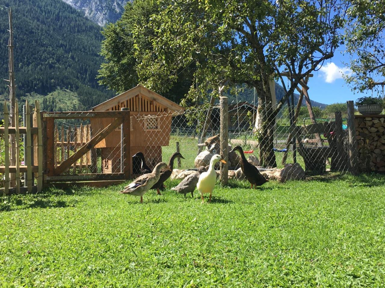 Vorderponholz Ferienwohnungen Ramsau bei Berchtesgaden Exteriör bild