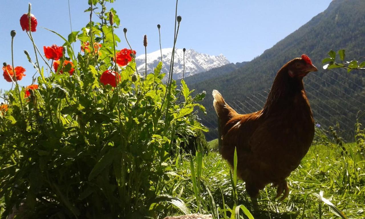 Vorderponholz Ferienwohnungen Ramsau bei Berchtesgaden Exteriör bild