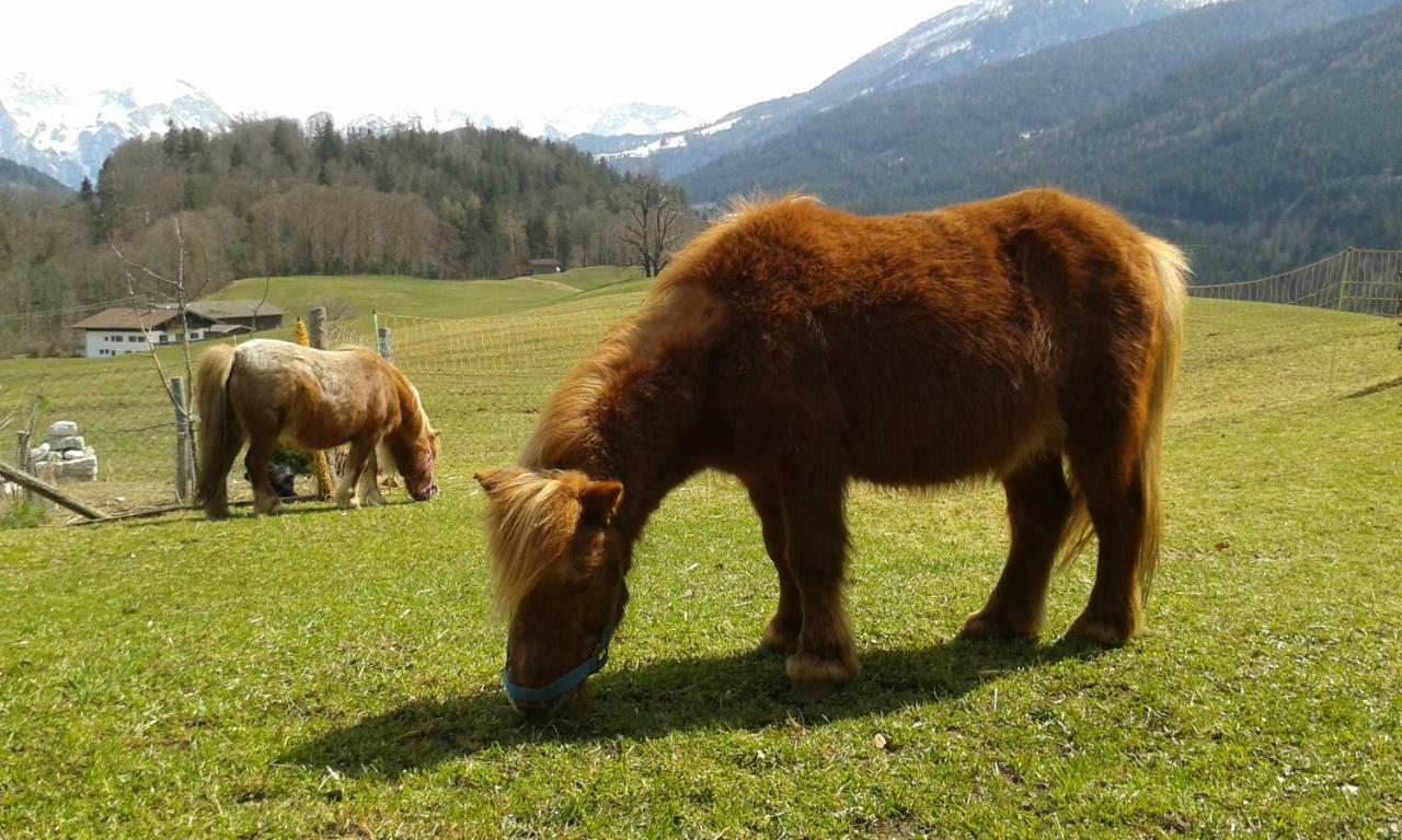 Vorderponholz Ferienwohnungen Ramsau bei Berchtesgaden Exteriör bild