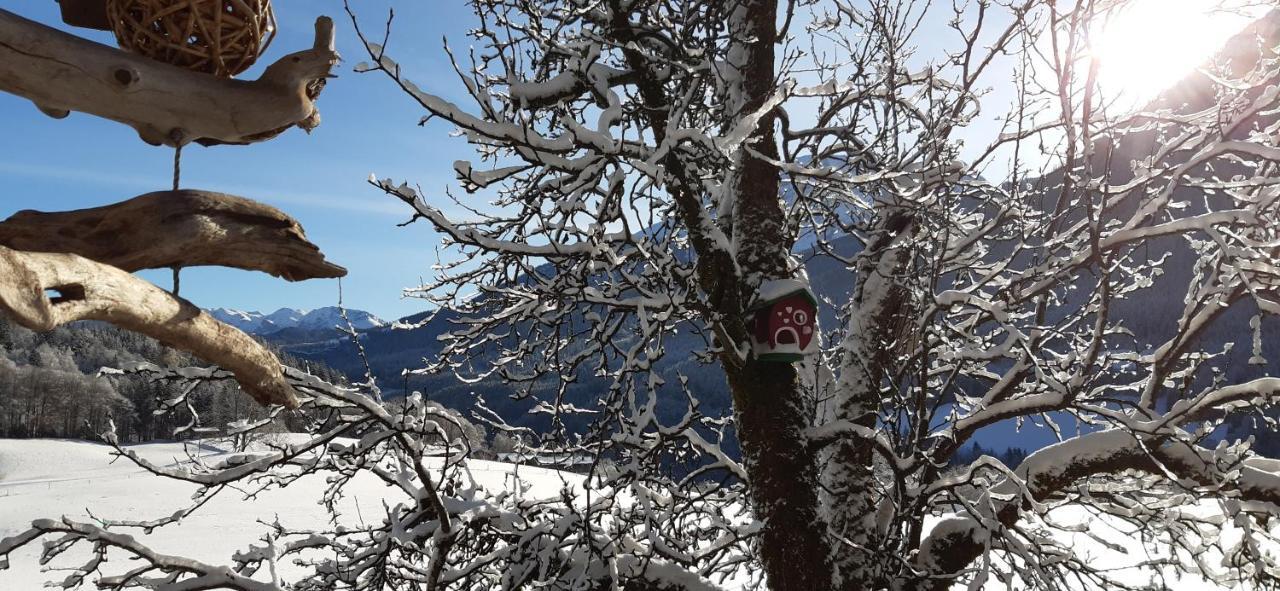 Vorderponholz Ferienwohnungen Ramsau bei Berchtesgaden Exteriör bild